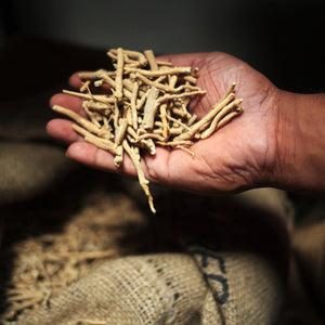  Ashwagandha Root : Ancient Ajurvedic Adaptogen